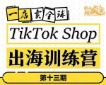 TikTokShop出海训练营(第十三期),打开全球流量新思维,出海抢占全球新流量,一店卖全球-遨游资源库