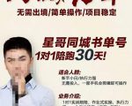 星哥同城教育书单号课程，无需出境简单操作项目稳定-遨游资源库