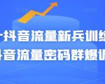 Peter抖音流量新兵训练营-破解抖音流量密码群爆训练营（新兵）-遨游资源库