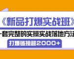 凌童《新品打爆实战班》,一套完整的实操实战落地方法，打爆链接超2000+（28节课)-遨游资源库