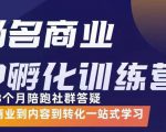 杨名商业IP孵化训练营，从商业到内容到转化一站式学 价值5980元-遨游资源库