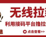 最新接码无限拉新项目,利用接码平台赚拉新平台差价,轻松日赚500+-遨游资源库