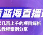 抖音最新蓝海直播玩法,3分钟赚30元,一天轻松1000+,只要你去直播就行【详细玩法教程】-遨游资源库