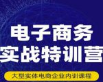 民赛电气内部出品：电子商务实战特训营，全方位带你入门电商，308种方式玩转电商-遨游资源库