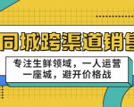 同城跨渠道销售，专注生鲜领域，一人运营一座城，避开价格战-遨游资源库
