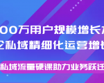 8000万用户规模增长方法论私域精细化运营增长,私域流量硬课助力业务跃迁-遨游资源库