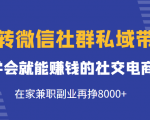 玩转微信社群私域带货,学会就能赚钱的社交电商,在家兼职副业再挣8000+-遨游资源库