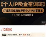 个人IP吸金密训班，打造高价值高效率的个人IP内容体系（价值12800元）-遨游资源库