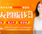全网千万人气导师亲授：零基础/易上手的朋友圈赚钱攻略，让你轻松月入过万-遨游资源库