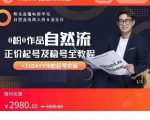0粉0作品自然流正价起号及稳号全教程，专业自然流起号机构流程化教学（价值2980元）-遨游资源库