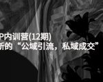 新媒体IP内训营(12期)，一套全新的“公域引流，私域成交”IP打法，直接带走-遨游资源库