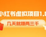 《小红书虚拟项目1.0》账号注册+养号+视频制作+引流+变现，几天就赚两三千-遨游资源库