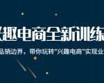 兴趣电商全新训练营：打破品销边界，带你玩转“兴趣电商“实现业务增长-遨游资源库