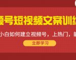 视频号短视频文案训练营：0基础小白如何建立视频号，上热门，能卖货！-遨游资源库