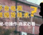 外面收费2980的全平台电商白嫖撸货技术（仅揭秘勿操作-商家防范必看）-遨游资源库