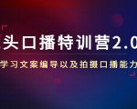 镜头口播特训营2.0版，学习文案编导以及拍摄口播能力（50节课时）-遨游资源库