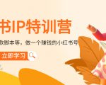 小红书IP特训营：从搭建-制作-爆款脚本等等，做一个赚钱的小红书号-遨游资源库