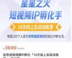 瑶瑶·自然流短视频IP孵化第二期,14天线上实战训练营,赋能100个人成为有数据能赚钱的独立IP孵化手-遨游资源库