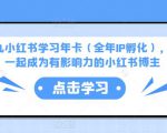 厦九九小红书学习年卡(全年IP孵化),沉浸式学习,一起成为有影响力的小红书博主-遨游资源库