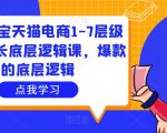 大圣淘宝天猫电商1-7层级盈利增长底层逻辑课，爆款的底层逻辑-遨游资源库