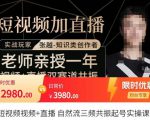 张越·短视频+直播，自然流三频共振起号实操课，​短视频所有流量玩法讲解-遨游资源库