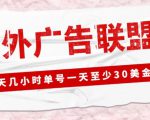 外面收费1980的最新国外LEAD广告联盟搬砖项目，单号一天至少30美金【详细玩法教程】-遨游资源库