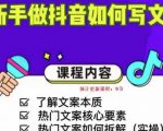 新手做抖音如何写文案，手把手实操如何拆解热门文案-遨游资源库
