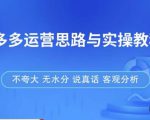 拼多多店铺运营思路与实操教程,快速学会拼多多开店和运营,少踩坑,多盈利-遨游资源库