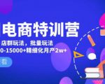 美团电商特训营:美团·店群玩法,无脑铺货月产出6000-15000+精细化月产2w+-遨游资源库