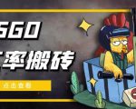 外面9800的CSGO汇率搬砖项目，一个月轻松赚几千【选品软件+详细教程】-遨游资源库