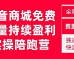 抖音商城搜索持续盈利陪跑成长营，抖音商城搜索从0-1、从1到10的全面解决方案-遨游资源库