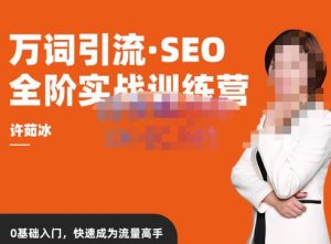 许茹冰·万词引流-SEO全阶实战训练营，0基础入门，快速成为流量高手-遨游资源库