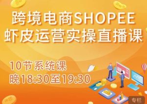 跨境电商Shopee虾皮运营实操直播课，从零开始学，入门到精通（10节系统课）-遨游资源库