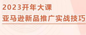 2023亚马逊新品推广实战技巧，线下百万美金课程的精简版，简单粗暴可复制，实操性强的推广手段-遨游资源库