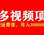 多多带货视频快速50爆款拿带货资格,搬运带货,月入30000【全套脚本+详细玩法】-遨游资源库