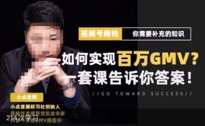 视频号变现进阶课，视频号六大变现模式，对平台的各项功能详细讲解，让你快速选择赛道-遨游资源库