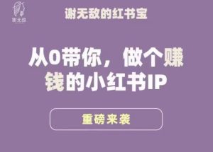 谢无敌·小红书运营大宝典，从0带你做个赚钱的小红书IP-遨游资源库