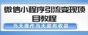 微信小程序引流变现项目教程，当天操作当天就有收益，变现不再是难事-遨游资源库