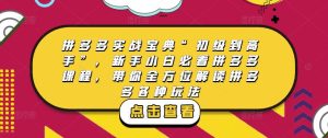 拼多多实战宝典“初级到高手”，新手小白必看拼多多课程，带你全方位解读拼多多各种玩法-遨游资源库