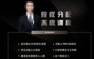 韩老师聊美业-美业股权分配系统课程，如何制定约束股东规则+老板占100%的股份+单店老板占小股份等-遨游资源库