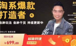 锋投老叶全店动销，淘系干货汇总，各种玩法，淘系爆款打造者-遨游资源库