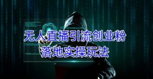 外面收费3980的无人直播引流创业粉落地实操玩法,单日引100+精准创业粉-遨游资源库