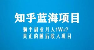 知乎蓝海玩法,躺平副业月入1W+,真正的睡后收入项目(6节视频课)-遨游资源库
