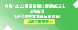 大炮·2023拼多多强付费最新玩法，3月新课​78分钟详细讲解玩法流程-遨游资源库