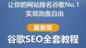 谷歌SEO实战教程：如何让你的网站在谷歌排名第一，内容从入门到高阶，适合个人及团队-遨游资源库