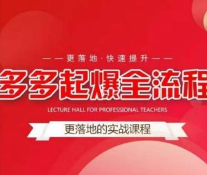 互力-多多新品打爆全流程，拼多多14天拉搜索自然流量，更落地·快速提升-遨游资源库