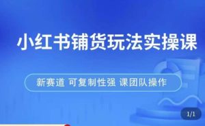 小红书铺货玩法实操课，流量大，竞争小，非常好做，新赛道，可复制性强，可团队操作-遨游资源库
