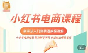 小红书电商新手入门到精通实操课，从入门到精通做爆款笔记，开店运营-遨游资源库