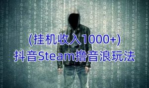 抖音Steam撸音浪玩法，挂机一天收入1000+不露脸 不说话 不封号 社恐人群福音-遨游资源库