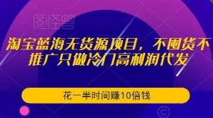 淘宝蓝海无货源项目，不囤货不推广只做冷门高利润代发，花一半时间赚10倍钱-遨游资源库